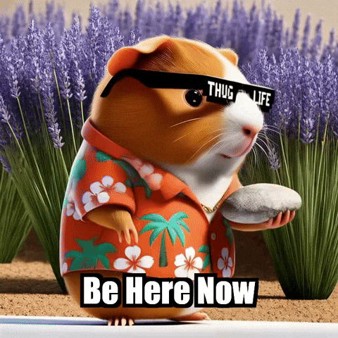 Be Here Now Wisdom GIF by Guinea Gambino