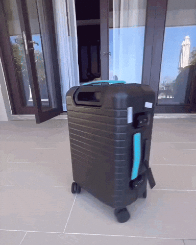 moncarbonecarbonfiber happy excited rotate carbonfiber GIF