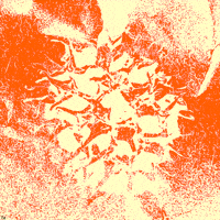 Sun Noise GIF by Trevor Anderson