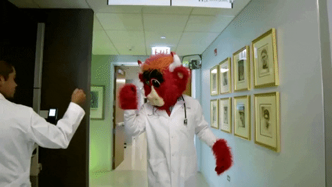 benny the bull nba GIF by Chicago Bulls
