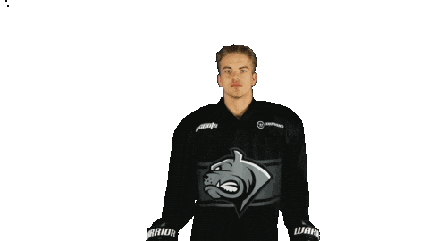 Dec Dornbirn Sticker by DornbirnBulldogs