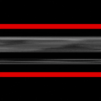 Neon Vegan GIF