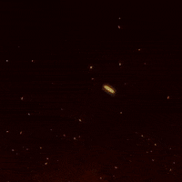 Confianca GIF by Pagbet