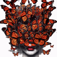 Monarch Butterflies Orange GIF by Maryanne Chisholm - MCArtist