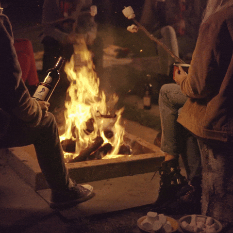 BarefootWineUK friends holiday vacation camping GIF