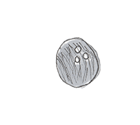 coconut garitma Sticker