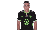 E Sports Sport Sticker by VfL Wolfsburg