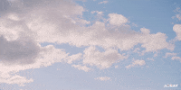 New Zealand Missy GIF by ARRAY