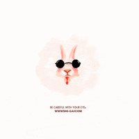 GIF by ShiGai
