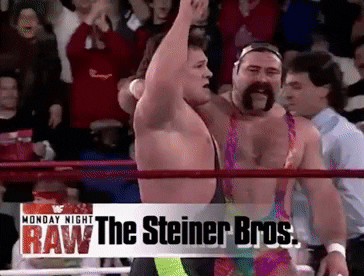 wrestling the steiner bros GIF by WWE