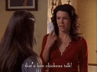 season 3 netflix GIF by Gilmore Girls 