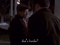 season 1 netflix GIF by Gilmore Girls 