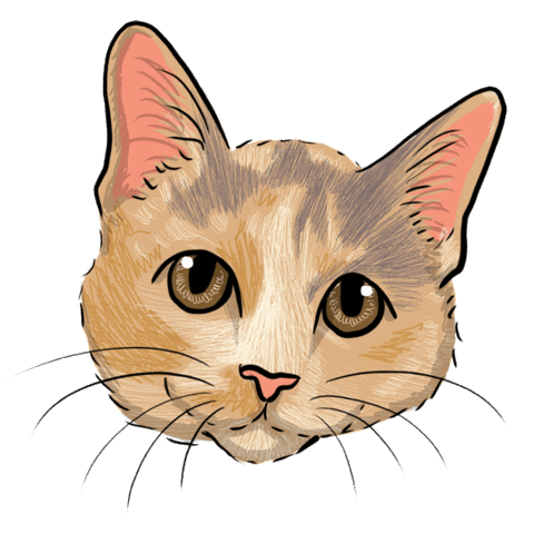 Amorgatuno Sticker by elgalgoazul