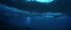 Relapse Records Ocean GIF by The Album Leaf