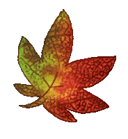 Fall Autumn Sticker by Yogi Tea