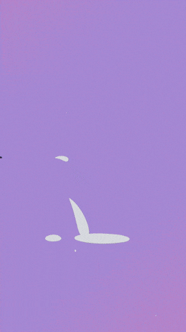 Ssaft GIF