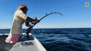 Wicked Tuna Fishing GIF by National Geographic Channel