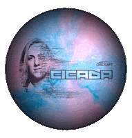 Disc Golf Cicada Sticker by Discraft