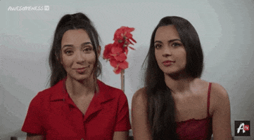 Merrelltwins Vanessamerrell GIF by AwesomenessTV