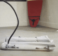 GIF by SchoolForTheDogs