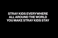 Stray Kids Skz GIF