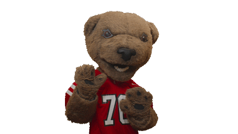 cornell university touchdown Sticker