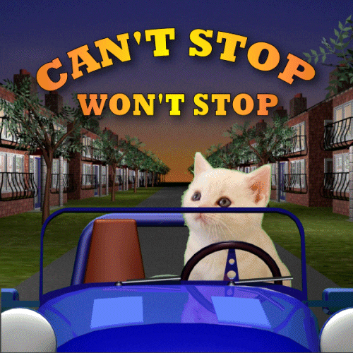 Cant Stop Make Way GIF
