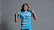 Red Stars Soccer GIF by Chicago Stars FC