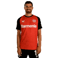 Bayer 04 Hello Sticker by Bayer 04 Leverkusen