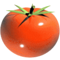 tomato STICKER