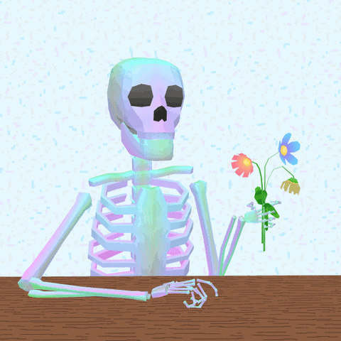 still life flowers GIF by jjjjjohn