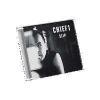 Chief1 Sticker by Gittemiasallling