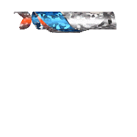 Sticker Skins Sticker by Skinport