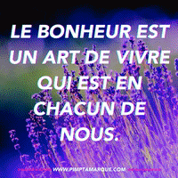 Art Business GIF by PIMP TA MARQUE