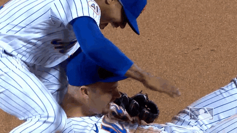 Celebrate Ny Mets GIF by New York Mets
