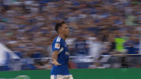 Happy Football GIF by FC Schalke 04