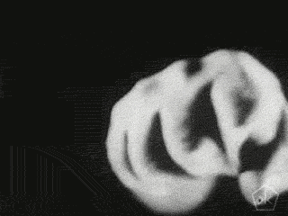 black and white art GIF by Okkult Motion Pictures