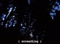 Season 2 Owl GIF by Twin Peaks on Showtime