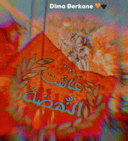 Berkane Orange Boys GIF