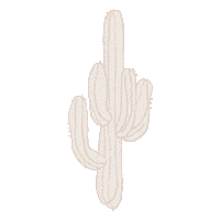 Desert Cactus Sticker by Spell & The Gypsy Collective