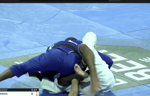 TFSMatt giphygifmaker GIF