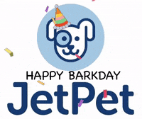 Jetpetresort  GIF
