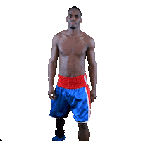 swissproboxing cuba boxeo toprank ortiz Sticker