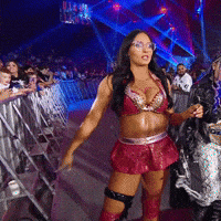 Wwe Inspect GIF