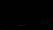 Scary Movie Halloween GIF by NETFLIX