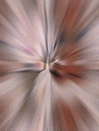 1 Pick Macc GIF by New 11