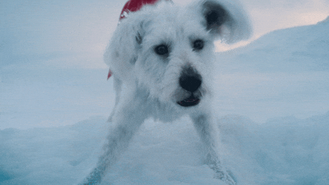 Dc Superman GIF by Warner Bros. Pictures