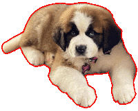 triadcleanhome puppy dogs north carolina cleaning Sticker