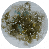 Life Science Art GIF by Robert Matejcek