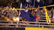 South Carolina Soccer GIF by Charleston Battery